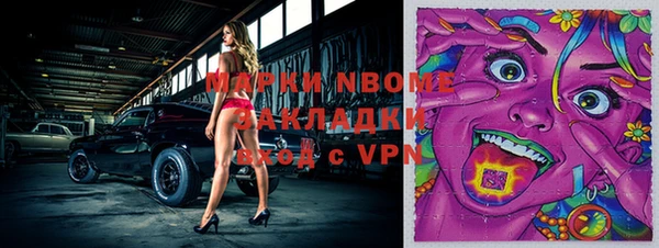 шишки Аркадак